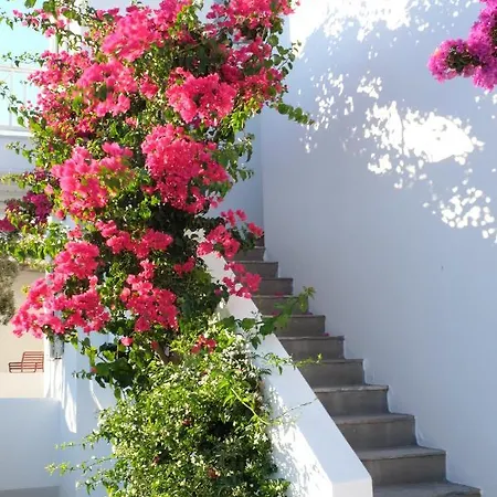 Ark Tinos Agios Ioannis (Tinos)