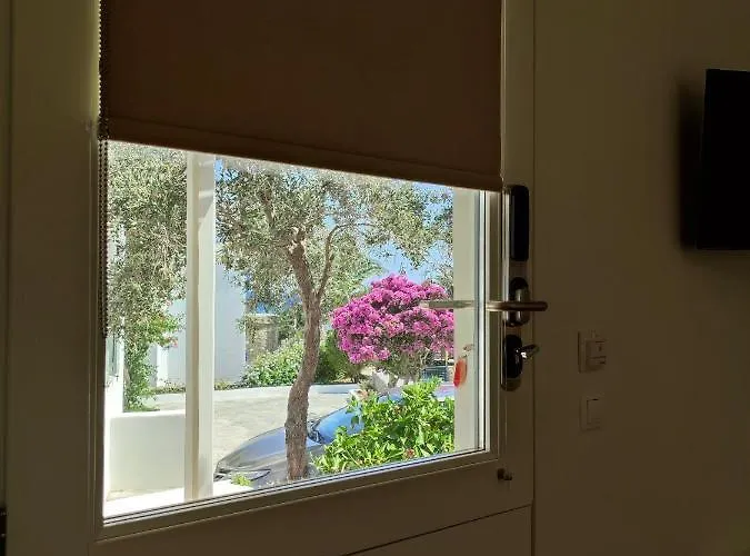 Ark Tinos Апартаменты Агиос-Иоаннис