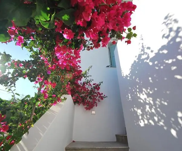 Апартаменты Ark Tinos Агиос-Иоаннис