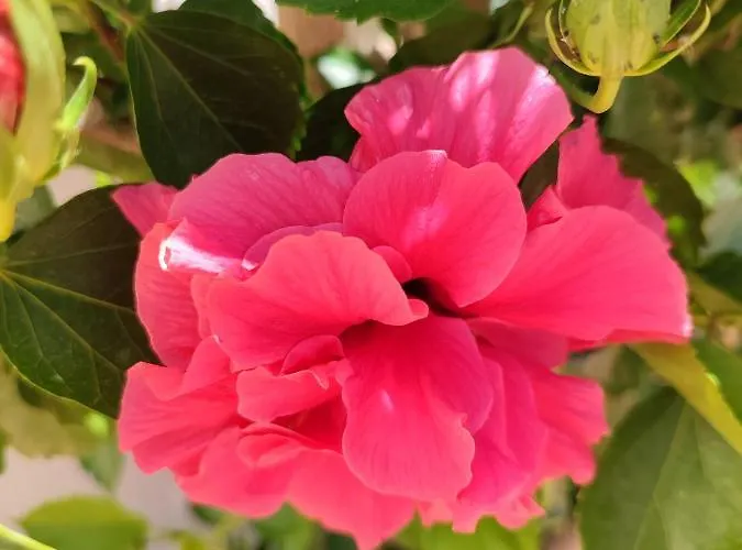 Апартаменты Ark Tinos *