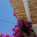 Daire Ark Tinos *