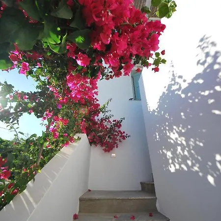 Apartman Ark Tinos Ájosz Joánisz