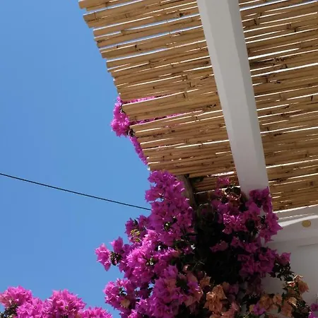 Apartman Ark Tinos *