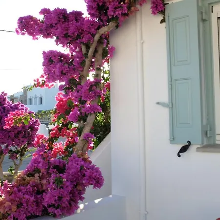 Ark Tinos Apartment
